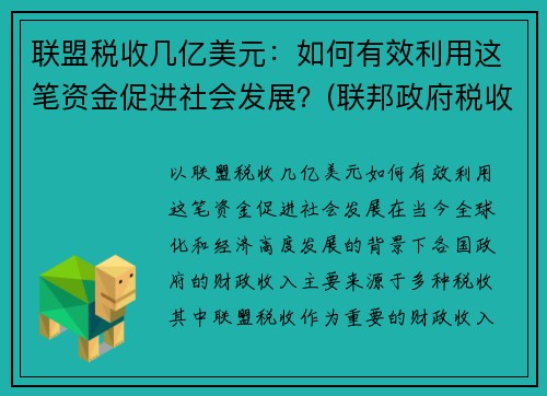 联盟税收几亿美元：如何有效利用这笔资金促进社会发展？(联邦政府税收来源)