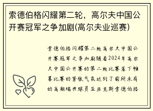 索德伯格闪耀第二轮，高尔夫中国公开赛冠军之争加剧(高尔夫业巡赛)