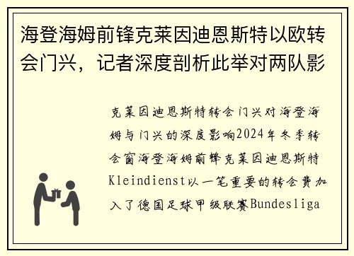 海登海姆前锋克莱因迪恩斯特以欧转会门兴，记者深度剖析此举对两队影响