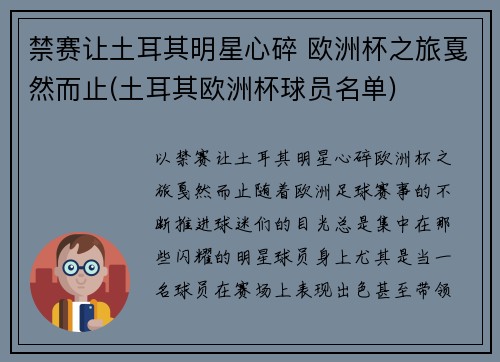 禁赛让土耳其明星心碎 欧洲杯之旅戛然而止(土耳其欧洲杯球员名单)